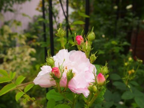 c0117007_22413544.jpg