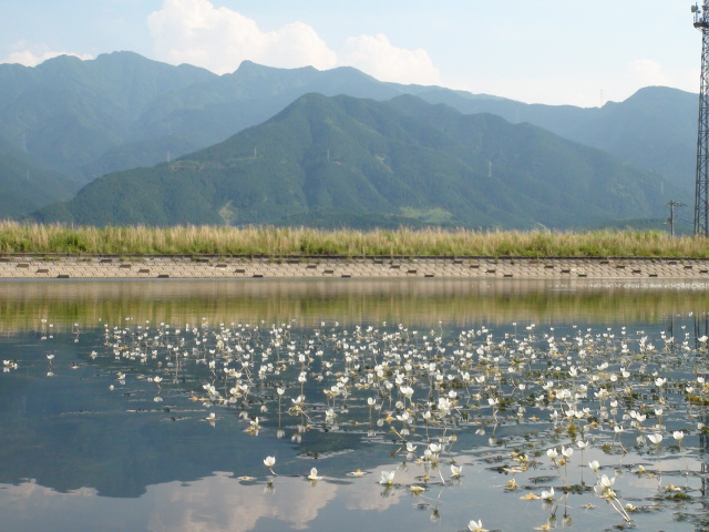 f0231709_635784.jpg