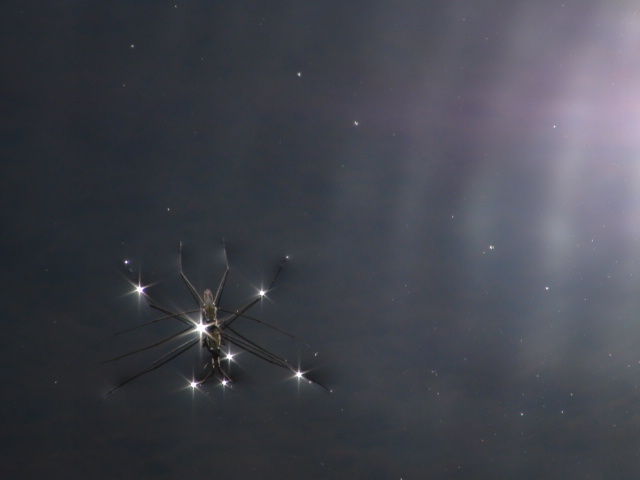 f0231709_638423.jpg