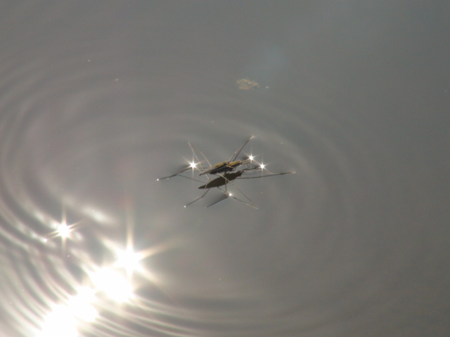 f0231709_6403024.jpg
