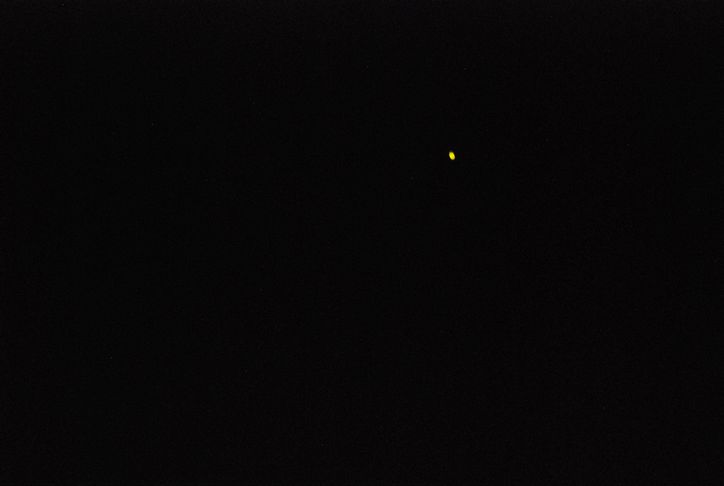d0174710_2025674.jpg