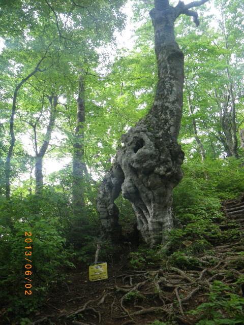 d0006512_16485515.jpg