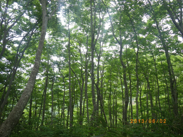 d0006512_16491244.jpg