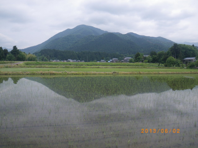 d0006512_1711170.jpg