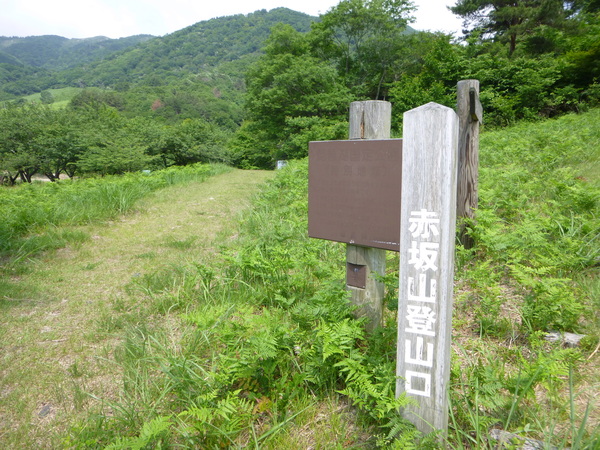 d0170615_10291115.jpg