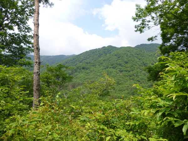 d0170615_10294176.jpg