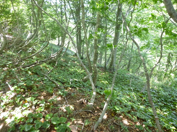 d0170615_10301232.jpg