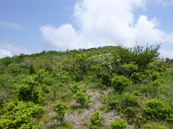 d0170615_10315679.jpg