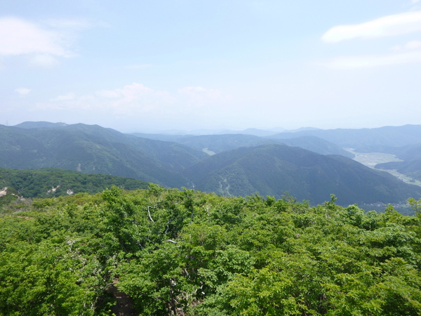 d0170615_10325197.jpg
