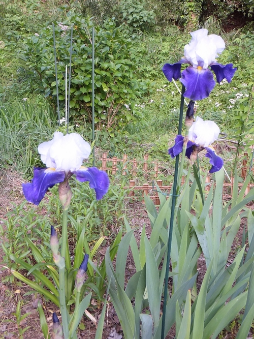 c0234117_14315237.jpg