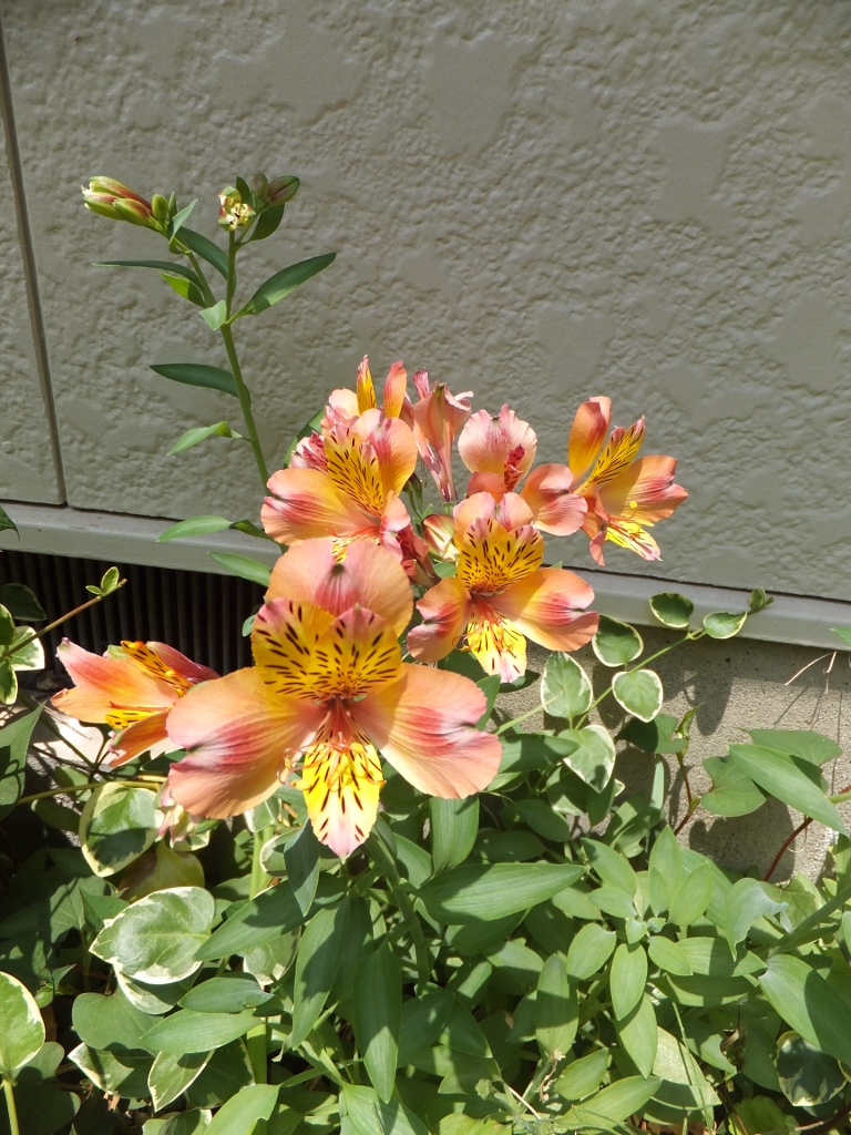 c0234117_14323542.jpg