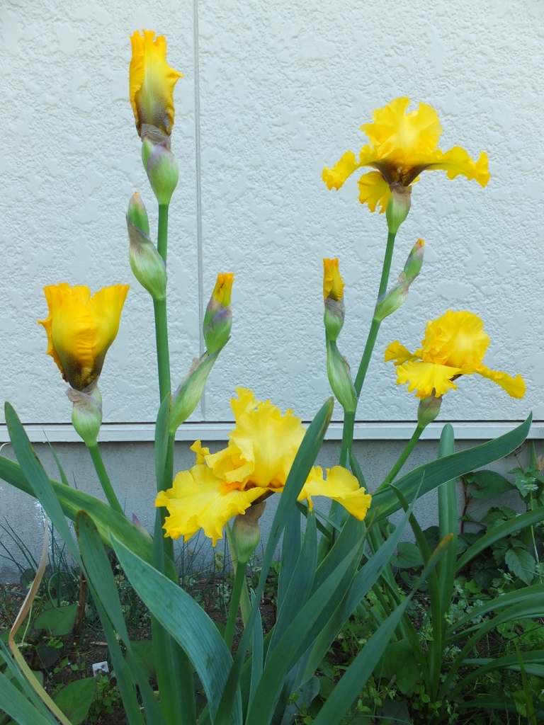 c0234117_14335058.jpg