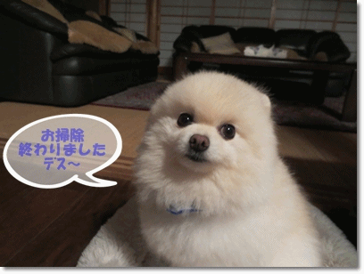 b0167519_14334542.gif