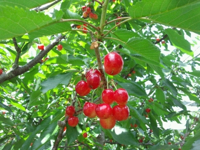 f0217723_2120337.jpg