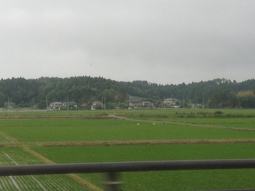 f0177125_23365581.jpg