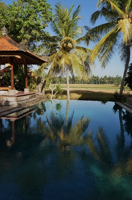 e0201926_1614833.jpg