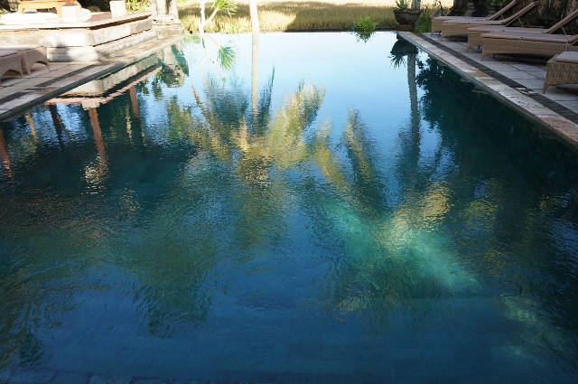 e0201926_16254479.jpg