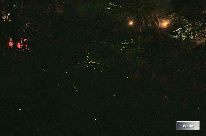 c0227134_10114964.jpg