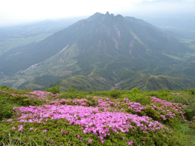 e0272335_22483944.jpg
