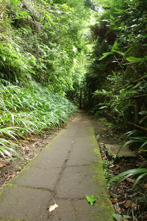 a0287336_03848100.jpg