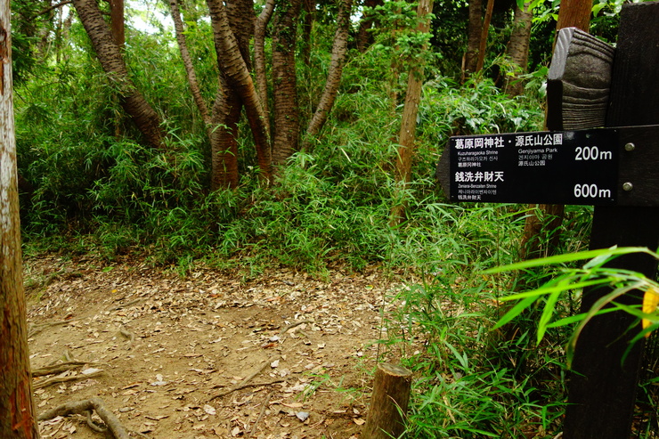 a0287336_048766.jpg