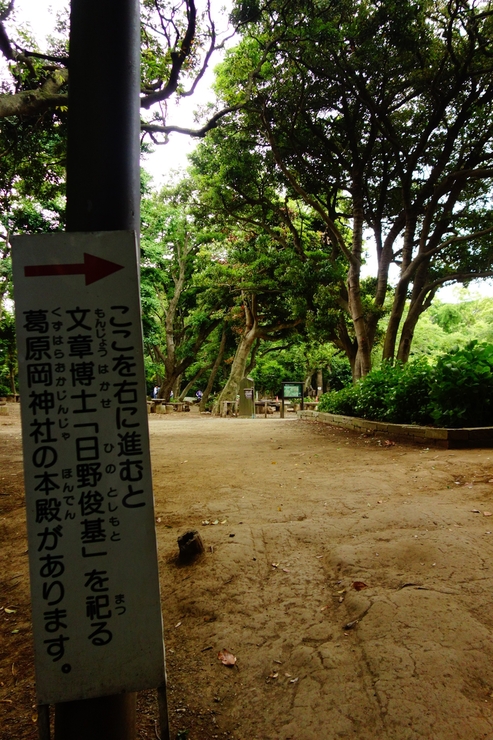 a0287336_0502691.jpg