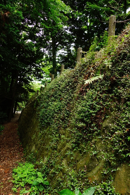 a0287336_10425.jpg