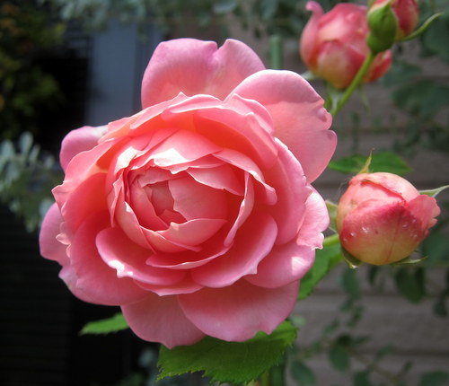 b0178339_7414797.jpg