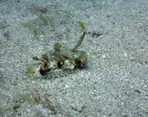 f0014842_17173496.jpg