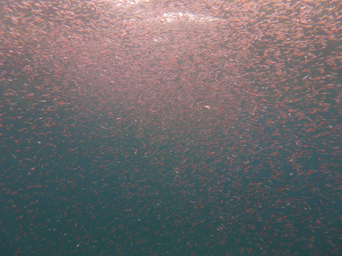 f0014842_17202778.jpg