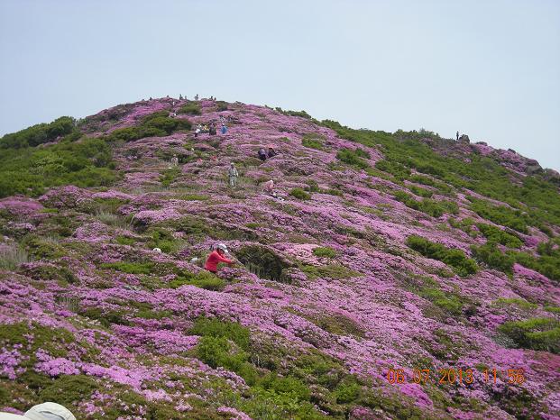 e0164643_1555963.jpg
