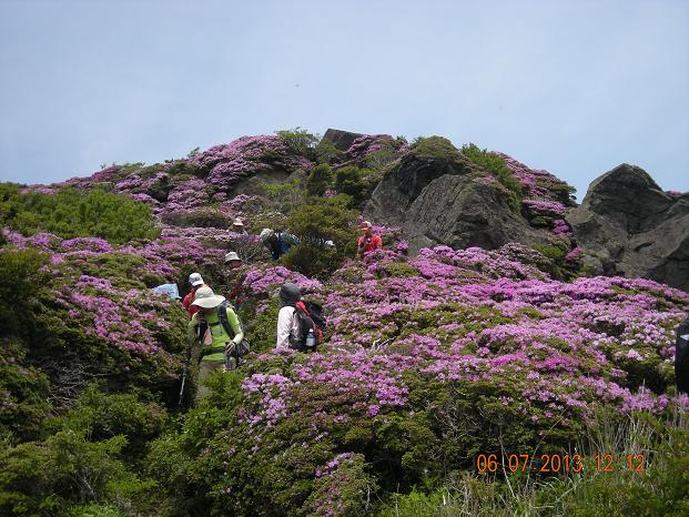 e0164643_1612736.jpg