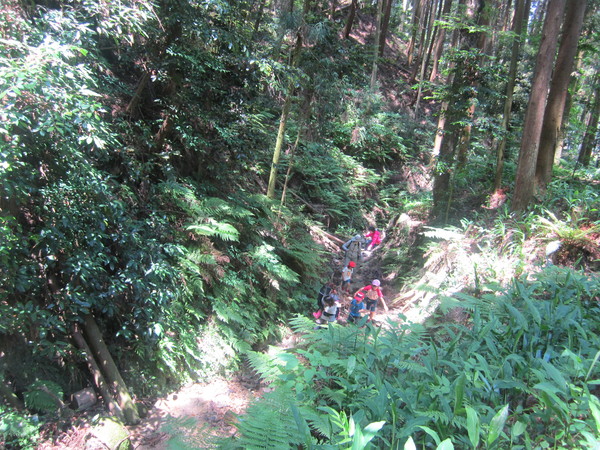 b0132746_22334121.jpg