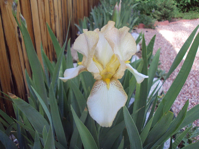 a0204348_22114395.jpg