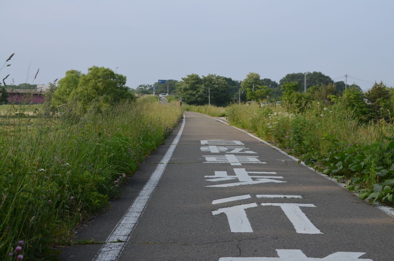 d0283357_824965.jpg