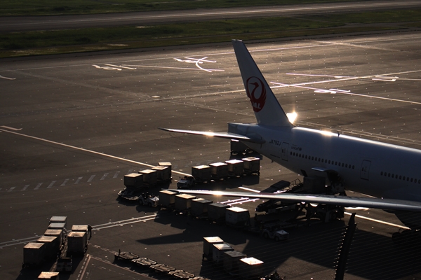 b0138661_186537.jpg