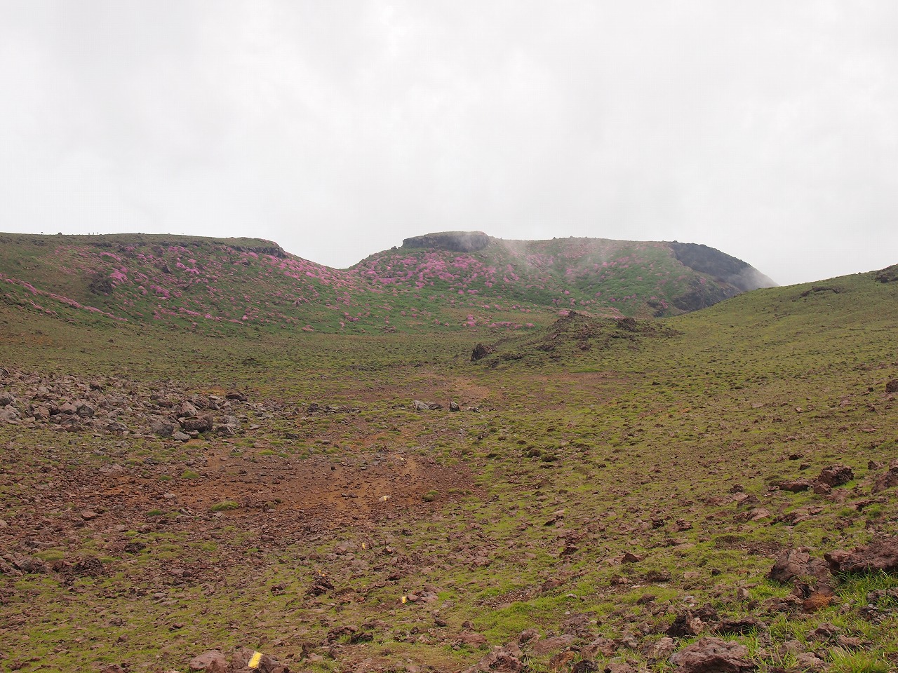 d0105063_19454373.jpg