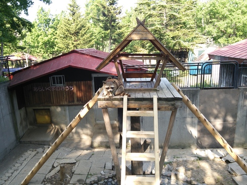 d0131668_17463551.jpg