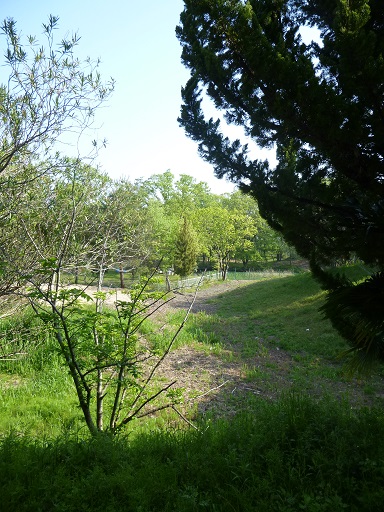 e0031568_11245578.jpg
