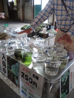 c0238371_13215874.jpg