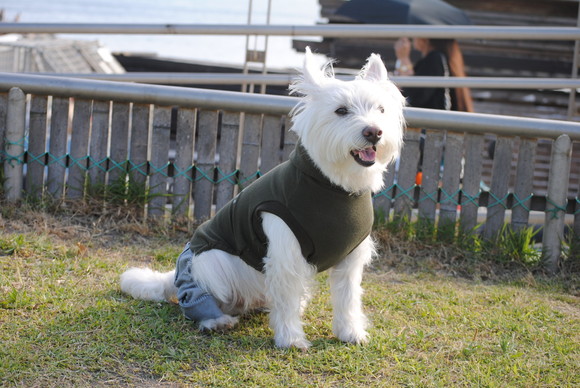 b0242873_10263537.jpg