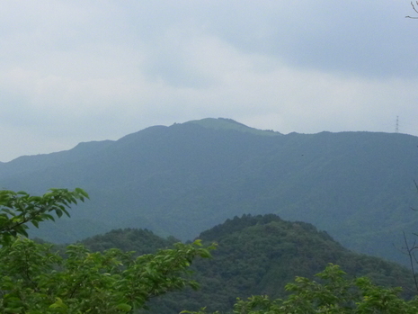 c0019376_10143222.jpg