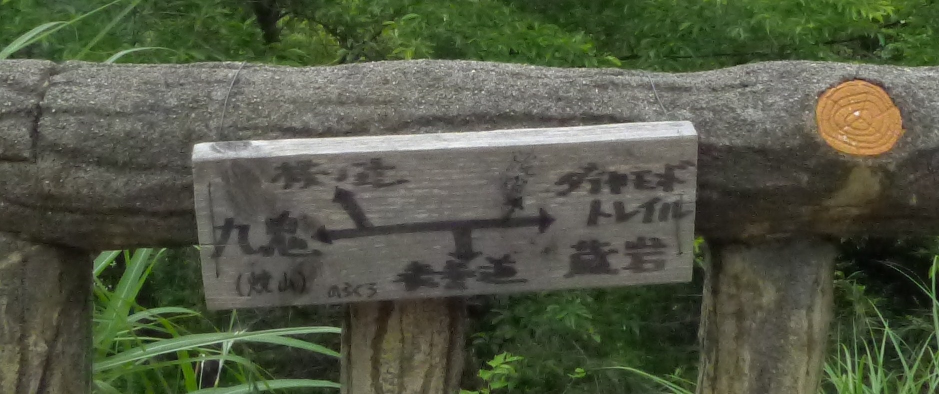 c0019376_9331656.jpg