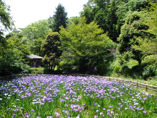 e0145782_2029221.jpg