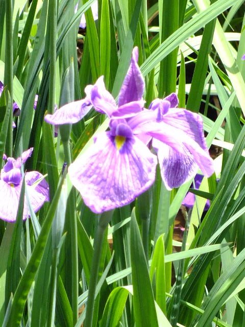 e0145782_2031297.jpg