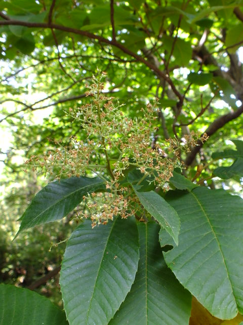 e0145782_2033014.jpg