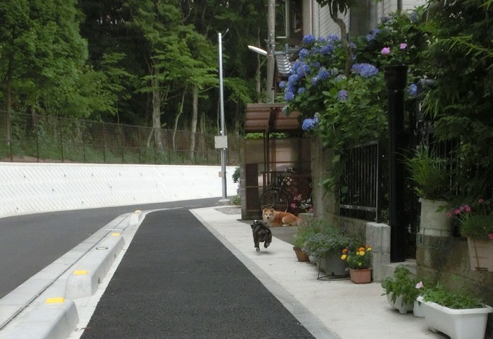 e0199784_2247622.jpg