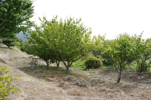 f0222692_14242324.jpg