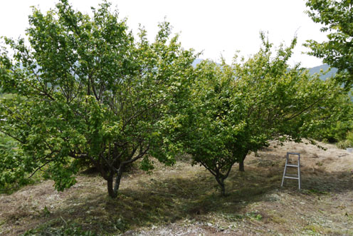 f0222692_14304510.jpg