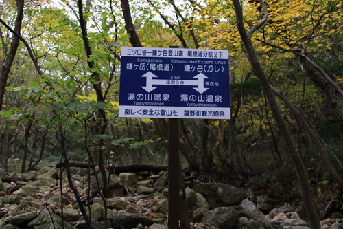 e0304001_23321918.jpg